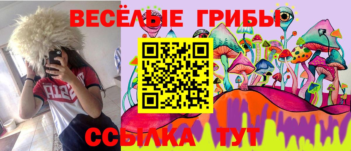 Химки  где купить наркоту  Вход с VPN  Псилоцибиновые грибы мицелий 